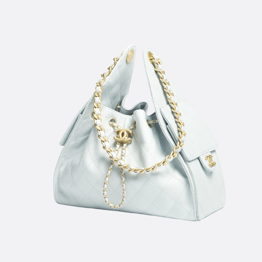 CHANEL 25 SMALL BAG